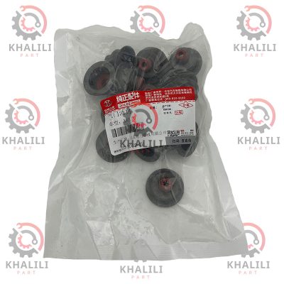 لاستیک گیت سوپاپ اصلی بایک سنوا